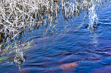 Similar image 21386295