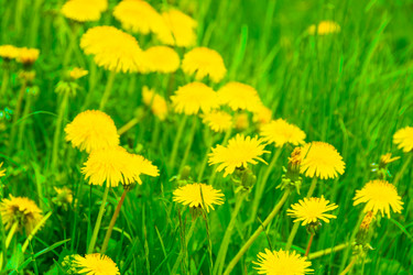 Similar image 21386299