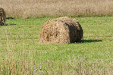 Similar image 21386064