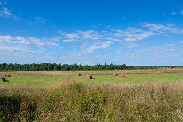 Similar image 21386066