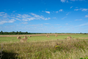 Similar image 21386069