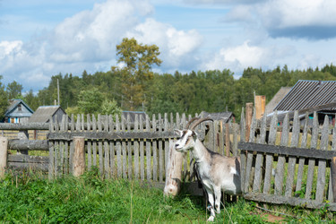 Similar image 21386075