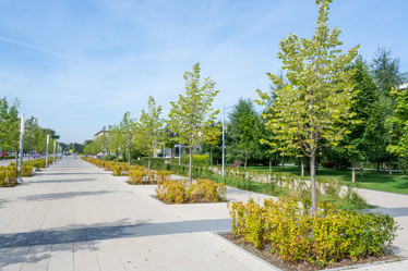 Similar image 21386305