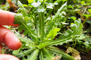 Similar image 21416859