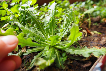 Similar image 21416860