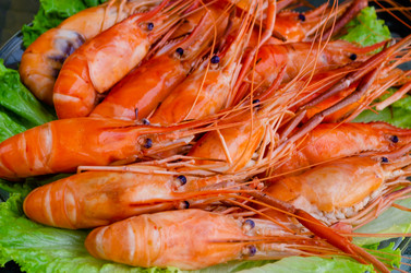 Similar image 21384754