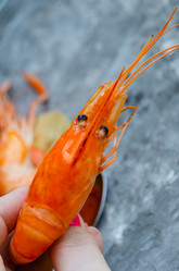 Similar image 21384766