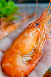 Similar image 21384768