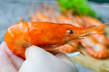 Similar image 21384770