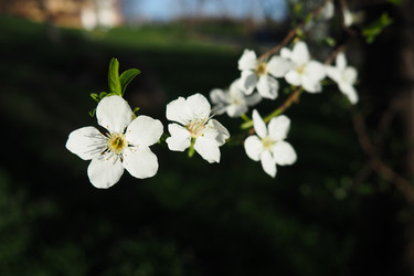 Similar image 21415715