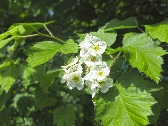 Similar image 21382304