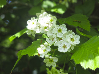 Similar image 21382305