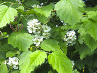 Similar image 21382307