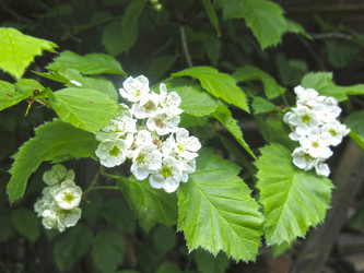 Similar image 21382308