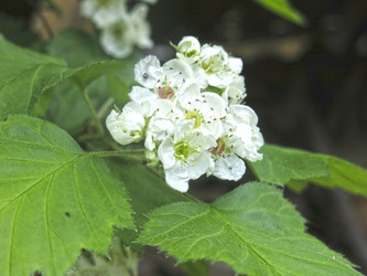 Similar image 21382310