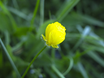 Similar image 21382311