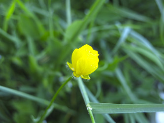 Similar image 21382312