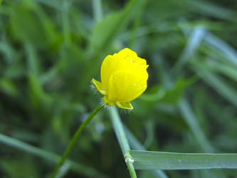 Similar image 21382313