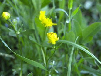 Similar image 21382315