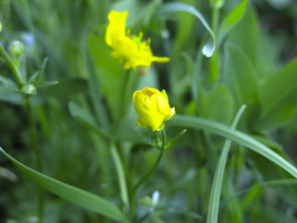 Similar image 21382316