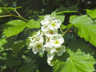 Similar image 21382317