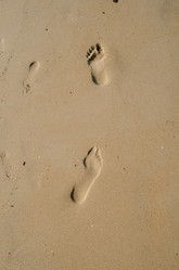 Similar image 21384784