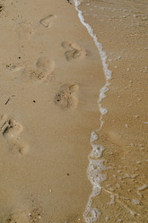 Similar image 21384786