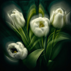 Similar image 21404494