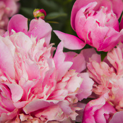 Similar image 21404495