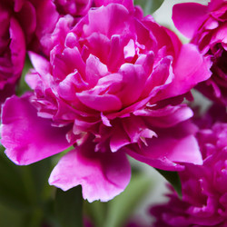 Similar image 21404496