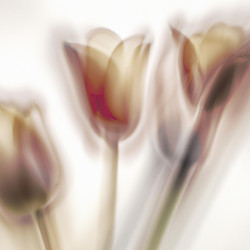 Similar image 21404503