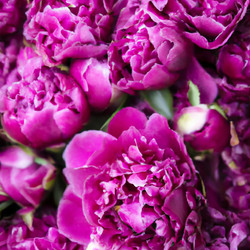 Similar image 21404505