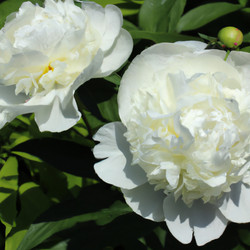 Similar image 21405213