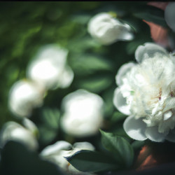 Similar image 21405488