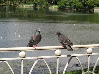 Similar image 21382899