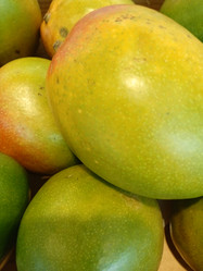 Similar image 21382900