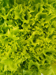 Similar image 21382906