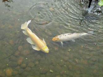 Similar image 21382930