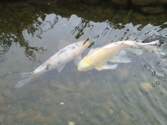 Similar image 21382934