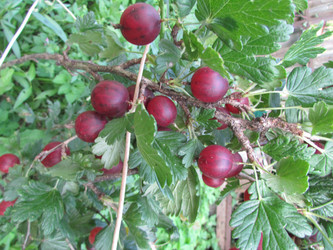 Similar image 21382947