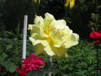 Similar image 21382949