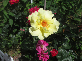 Similar image 21382950