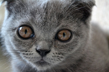 Similar image 21386815