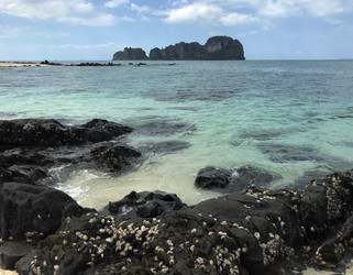 Similar image 21386822