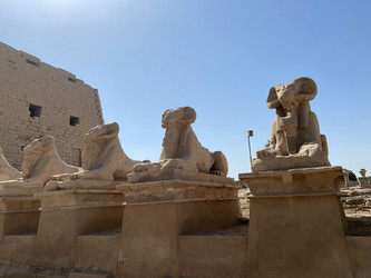 Similar image 21386831