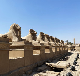 Similar image 21386835