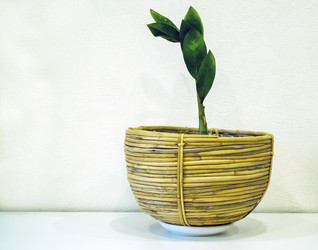 Similar image 21386847