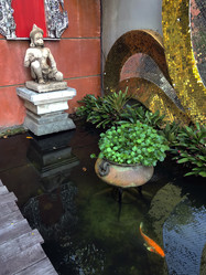 Similar image 21386855