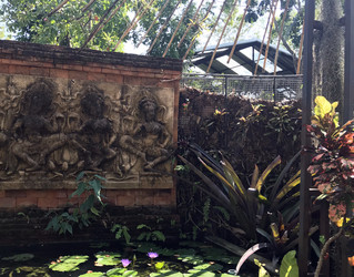 Similar image 21386863