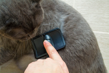 Similar image 21386877